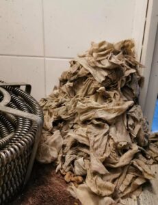 Lees meer over het artikel Vochtig toiletpaper zorgt voor verstopping van het riool